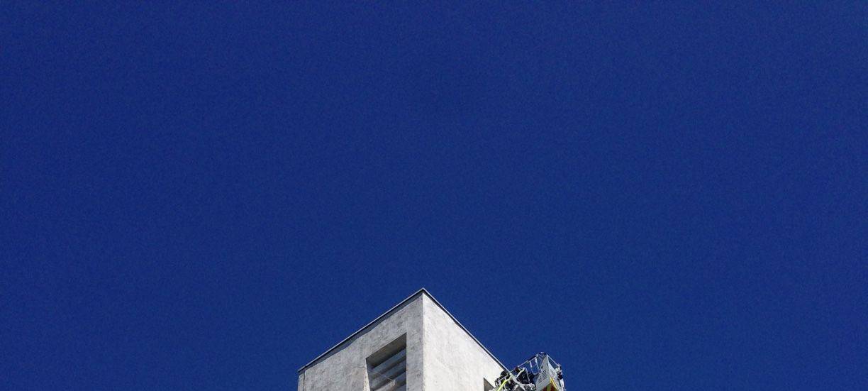 Brühl: Turmfalke gerettet