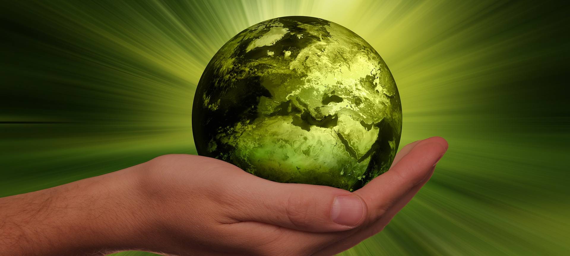 Wesseling: Bewerbungsphase für Klimaschutzpreis startet