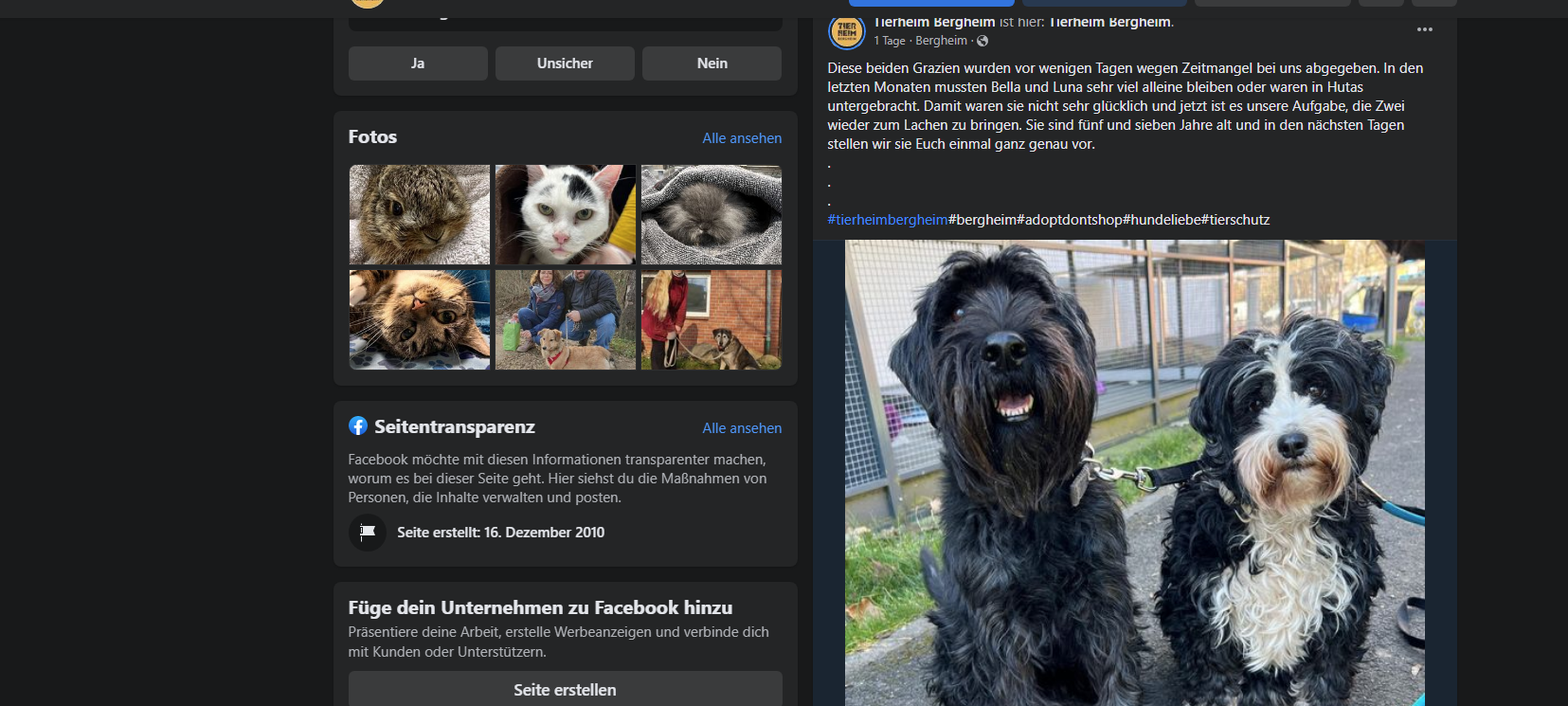 Rhein-Erft: Tierheim Bergheim sieht Facebook & Co. positiv