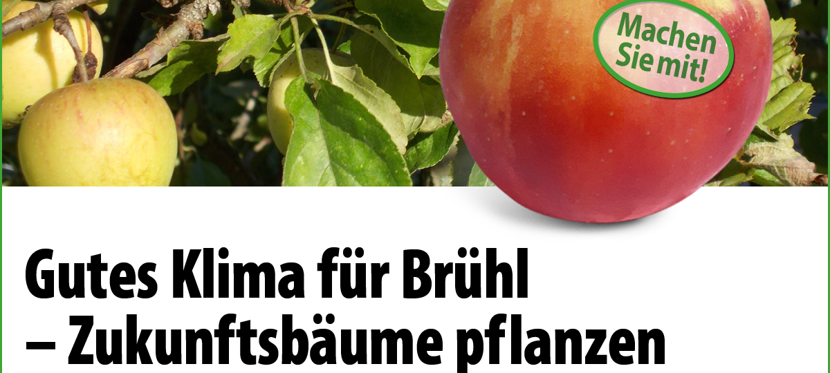 Brühl: Bäume zu verschenken