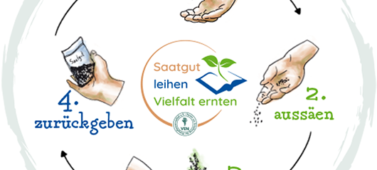 Saatgutbibliothek in Bergheim startet