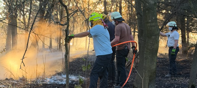 Waldbrand bei Düren: Rauch erreicht Erftstadt