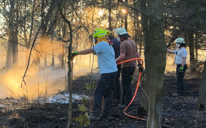 Waldbrand bei Düren: Rauch erreicht Erftstadt